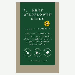 Pollinator Wildflower Mixture